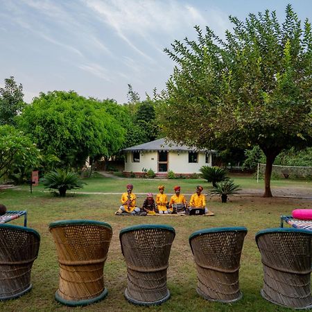 Jungle Cave Resort Sawai Madhopur Exterior photo