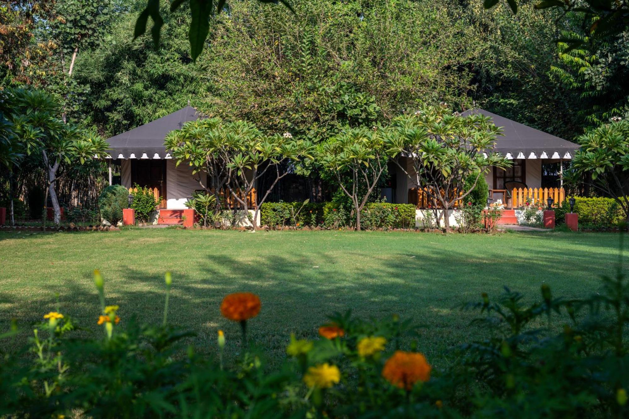 Jungle Cave Resort Sawai Madhopur Exterior photo